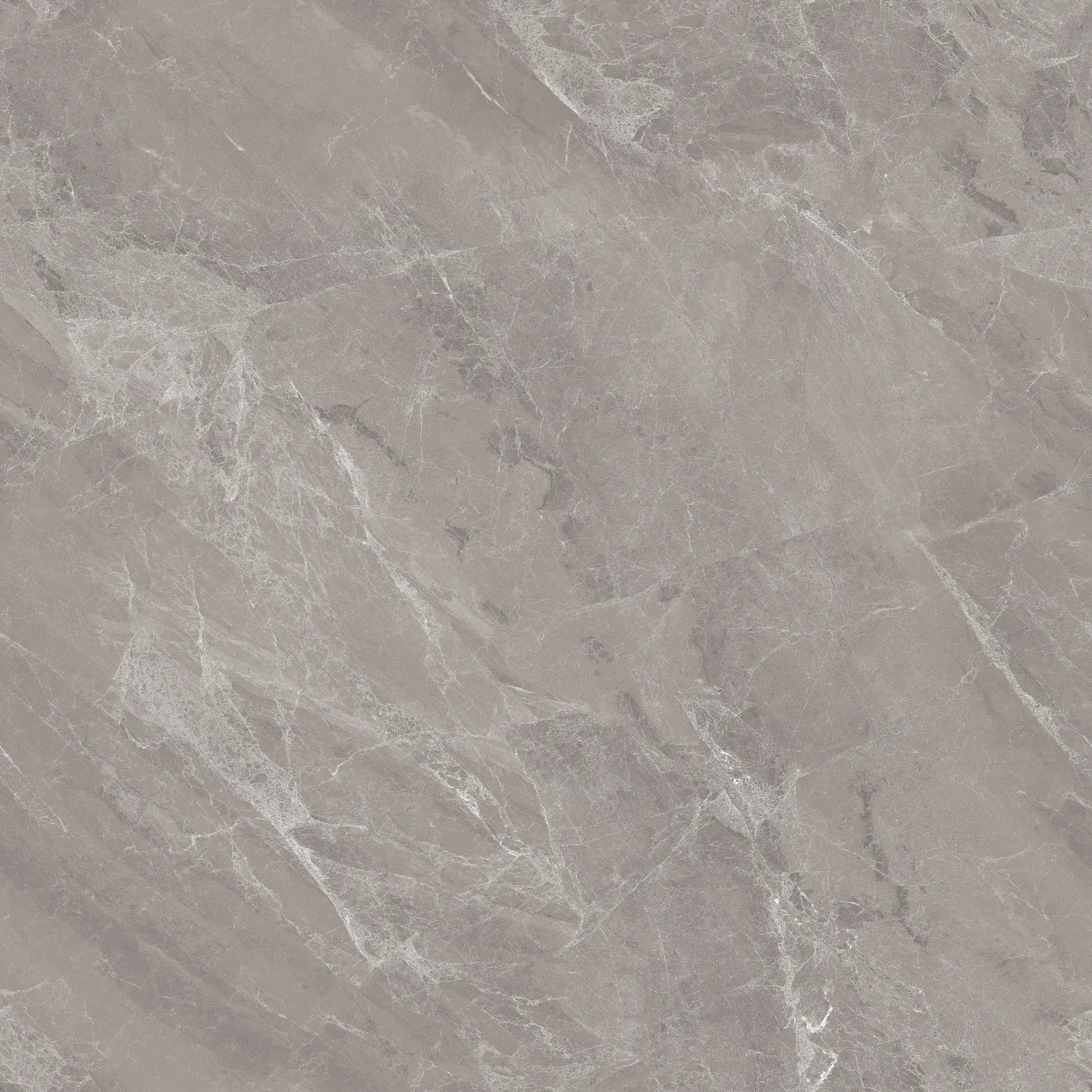 Spectra Gris polished grey 60x60 porcelain tile
