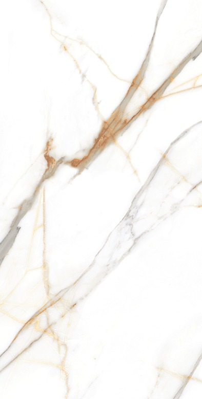 Splendor Gold polished gold 60x120 porcelain tile