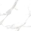 ELEGANT STATUARIO ENDLESS MATT 80X120